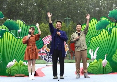 百豪最新爆料新闻视频,揭秘神秘项目，行业动态再掀波澜  第2张